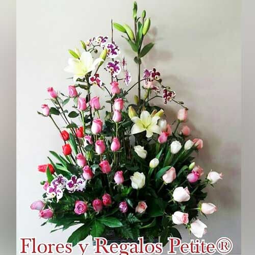 Images Flores Y Regalos Petite