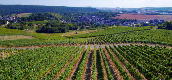 Bilder Weingut Gunther Merg