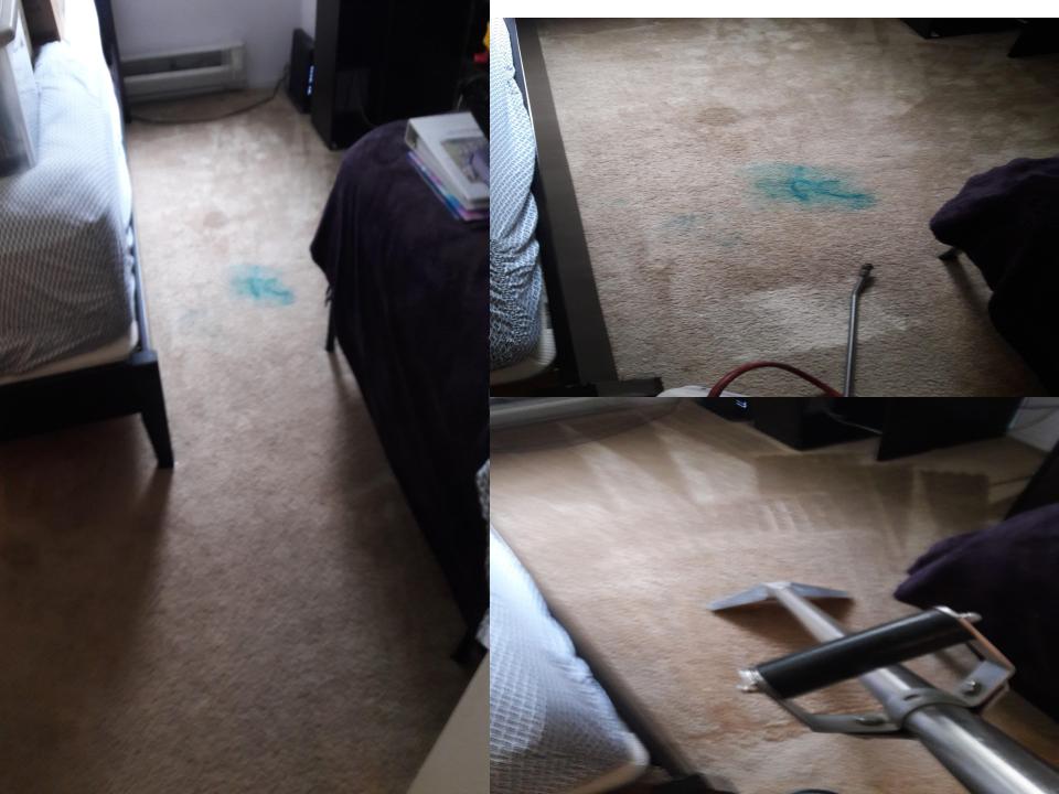 Able Body Carpet & Restoration Photo