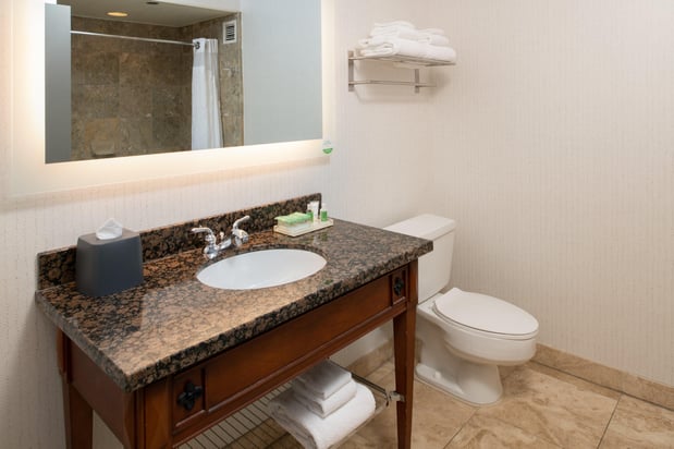 Images Holiday Inn Portland - Columbia Riverfront by IHG