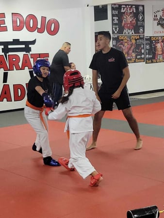 Images Jaguar Dojo
