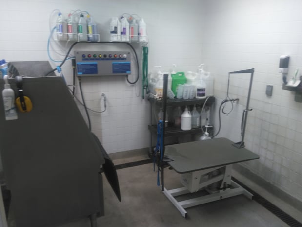 Images Petco Grooming