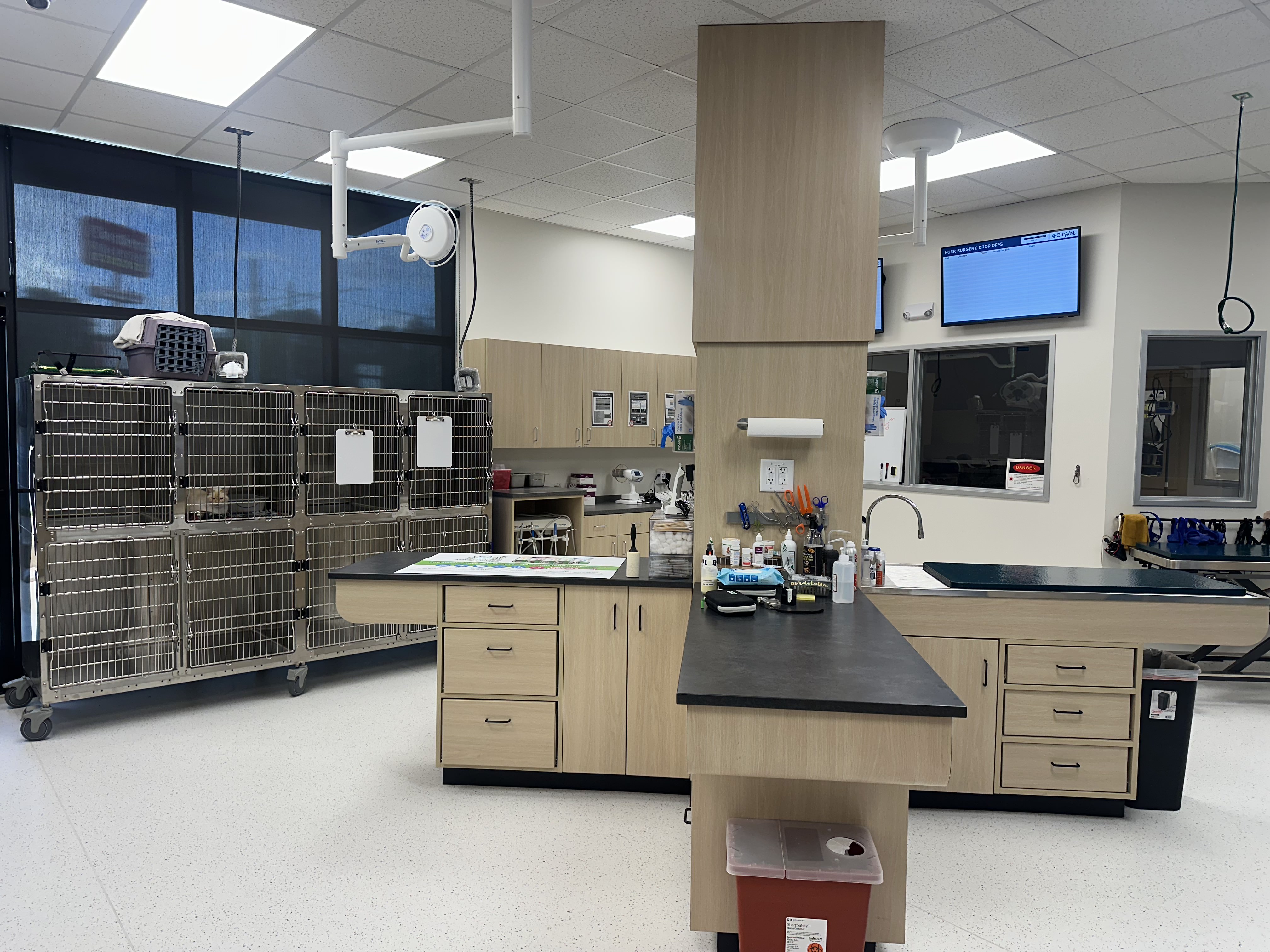 CityVet | Northlake exam area