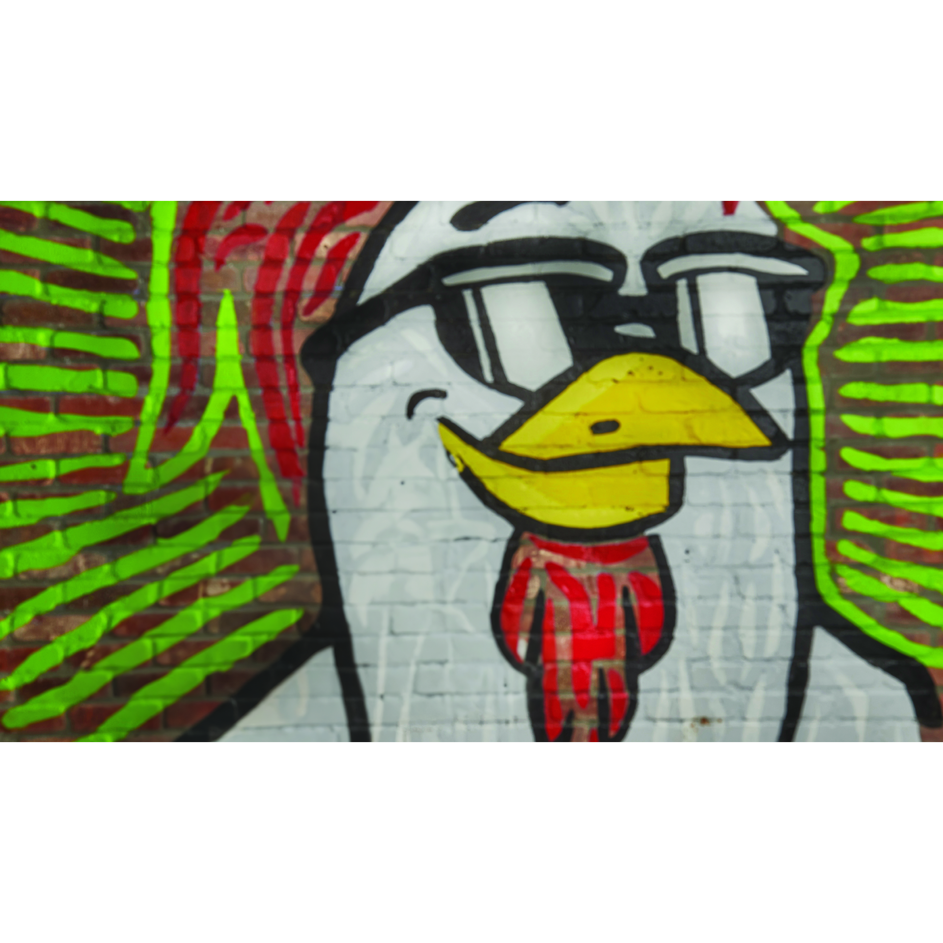 Chicken Guy