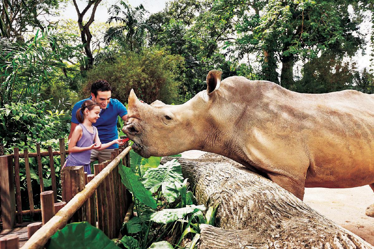 シンガポール動物園の画像