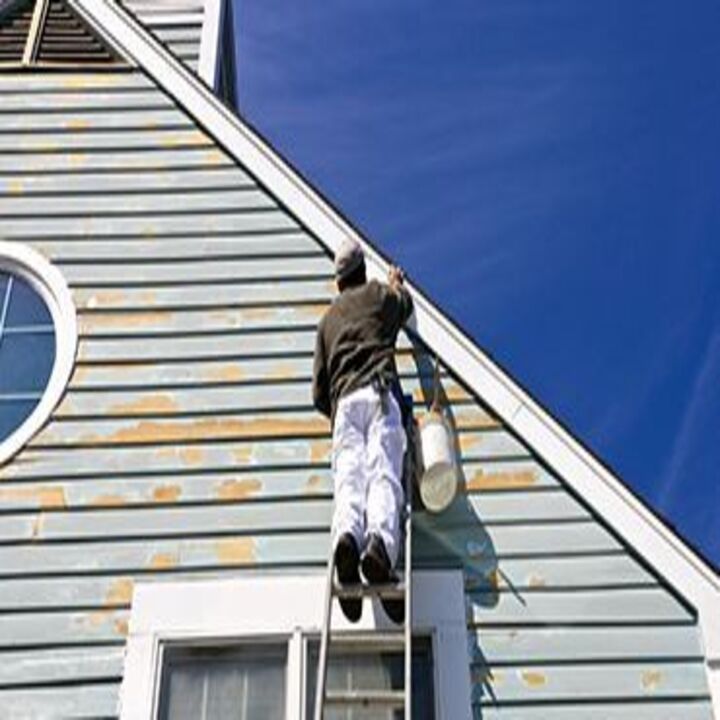 Images Star Painting & Decoration