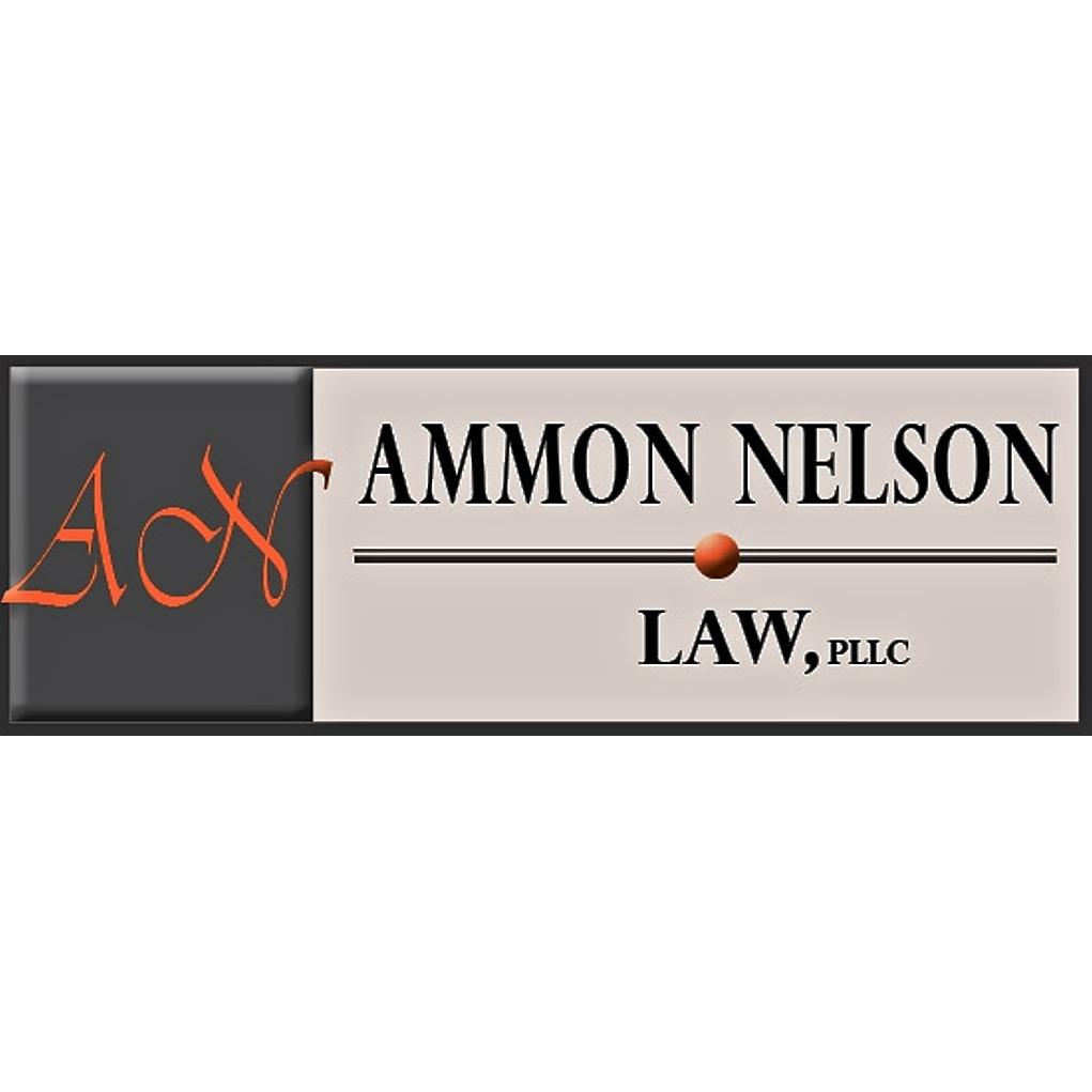 Ammon Nelson Law, Pllc