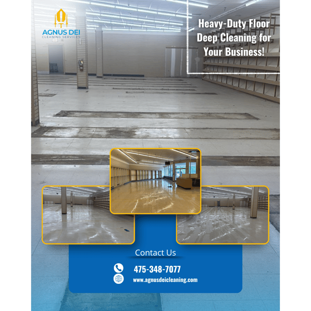 Images Agnus Dei Cleaning Services