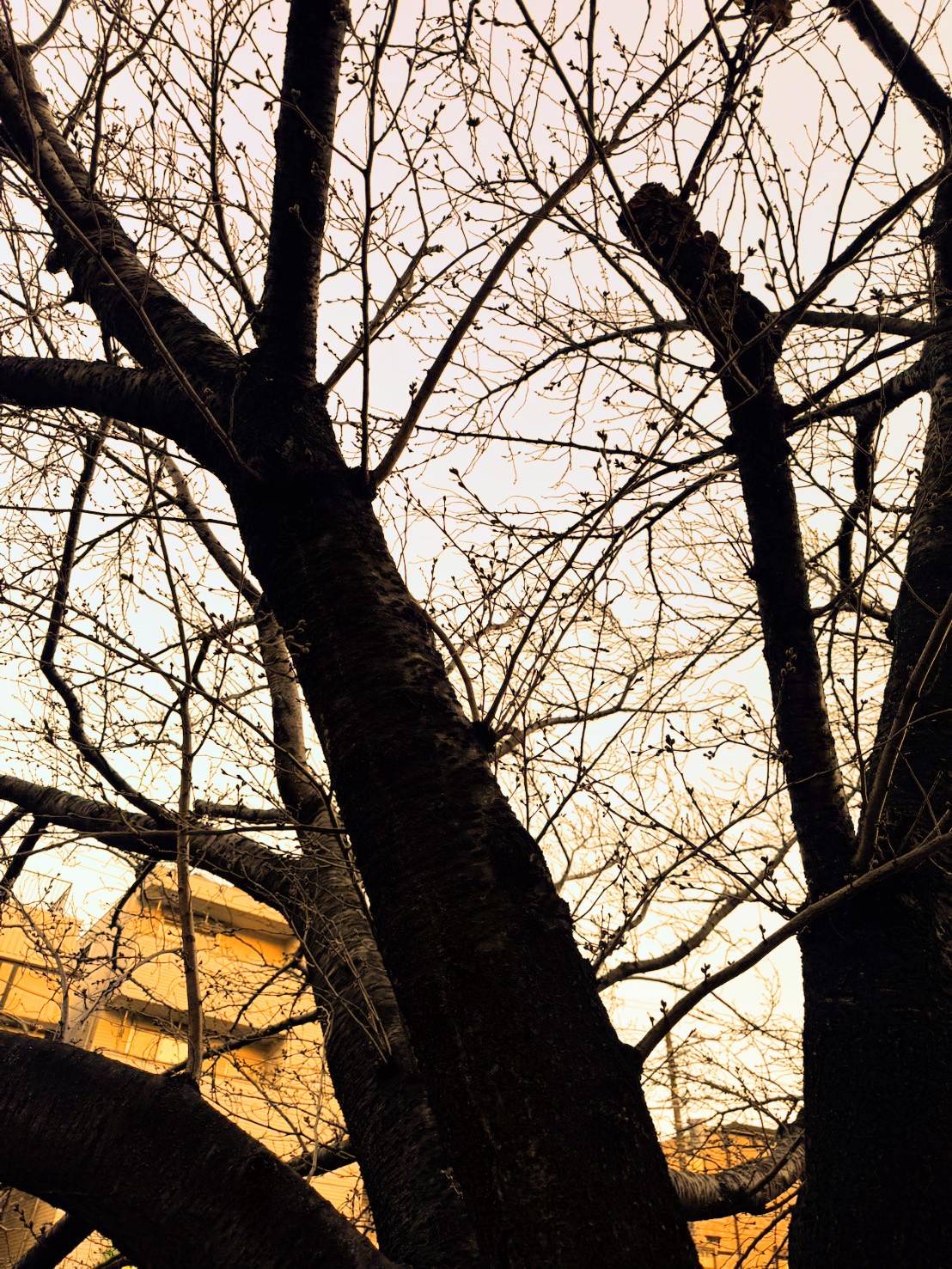 Images 横浜の大衆焼肉 弘明寺駅前店