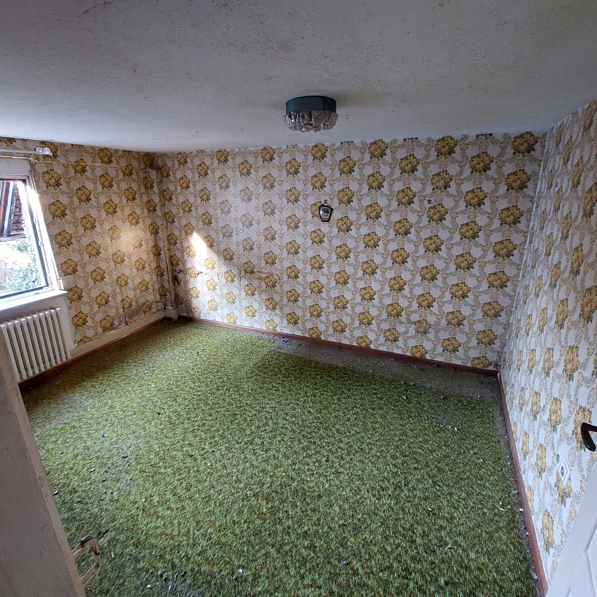 Gebäudeservice Müller, Friedrichstraße 62 in Lahr/Schwarzwald