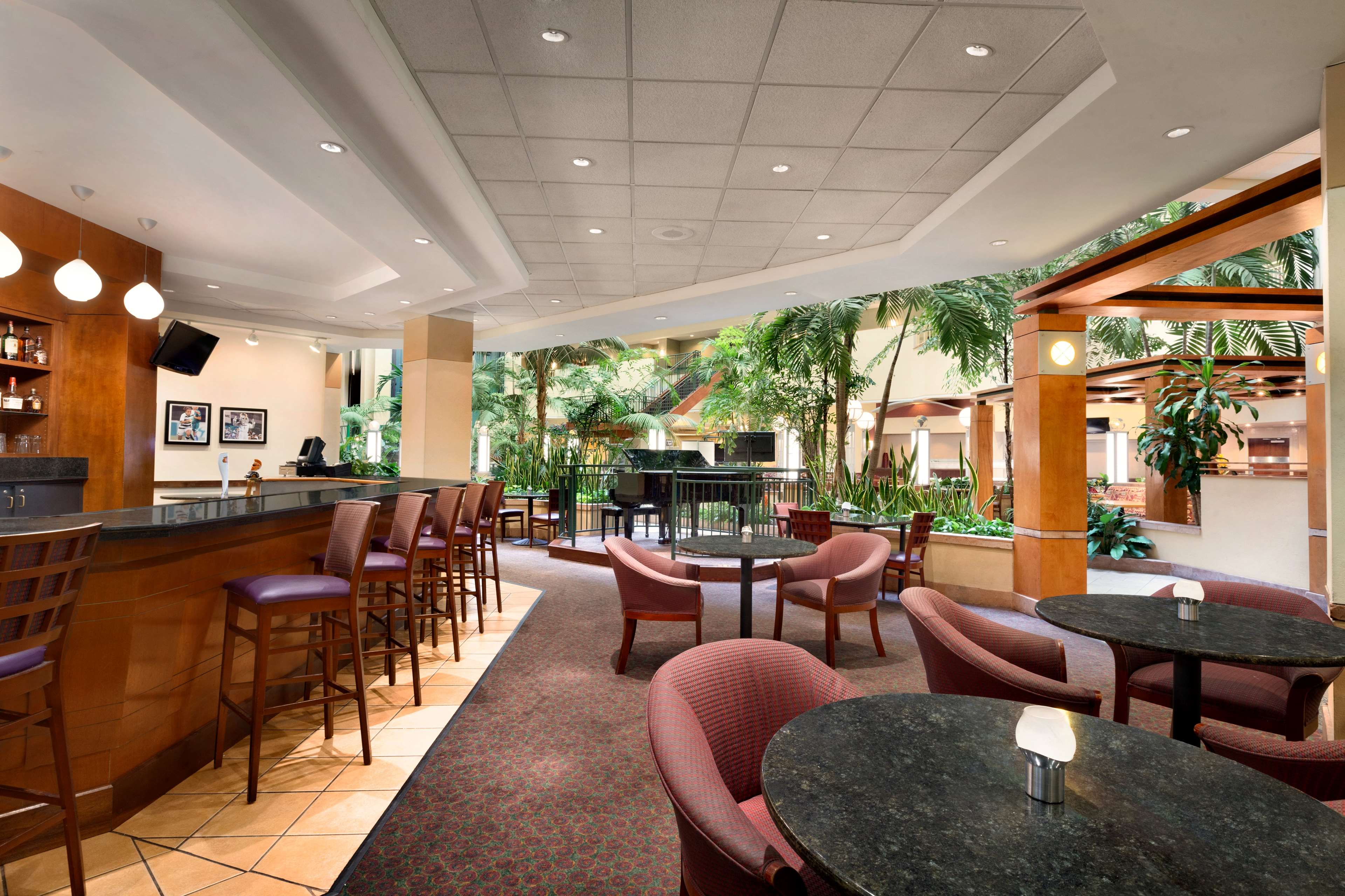 BarLounge