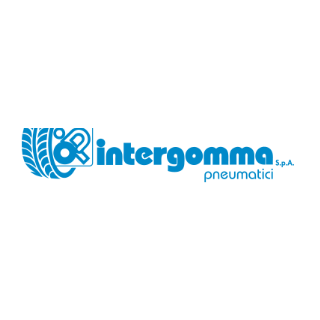 Intergomma Spa Logo