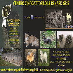 Centro Cinogattofilo Le Renard Gris Logo