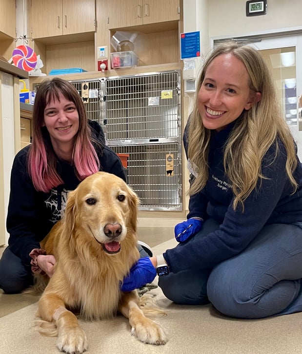 Images VCA West Los Angeles Animal Hospital