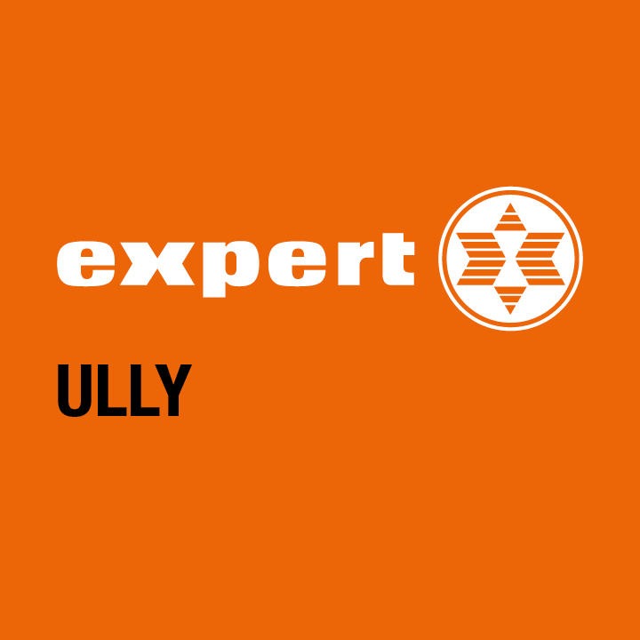 Expert Ully Logo