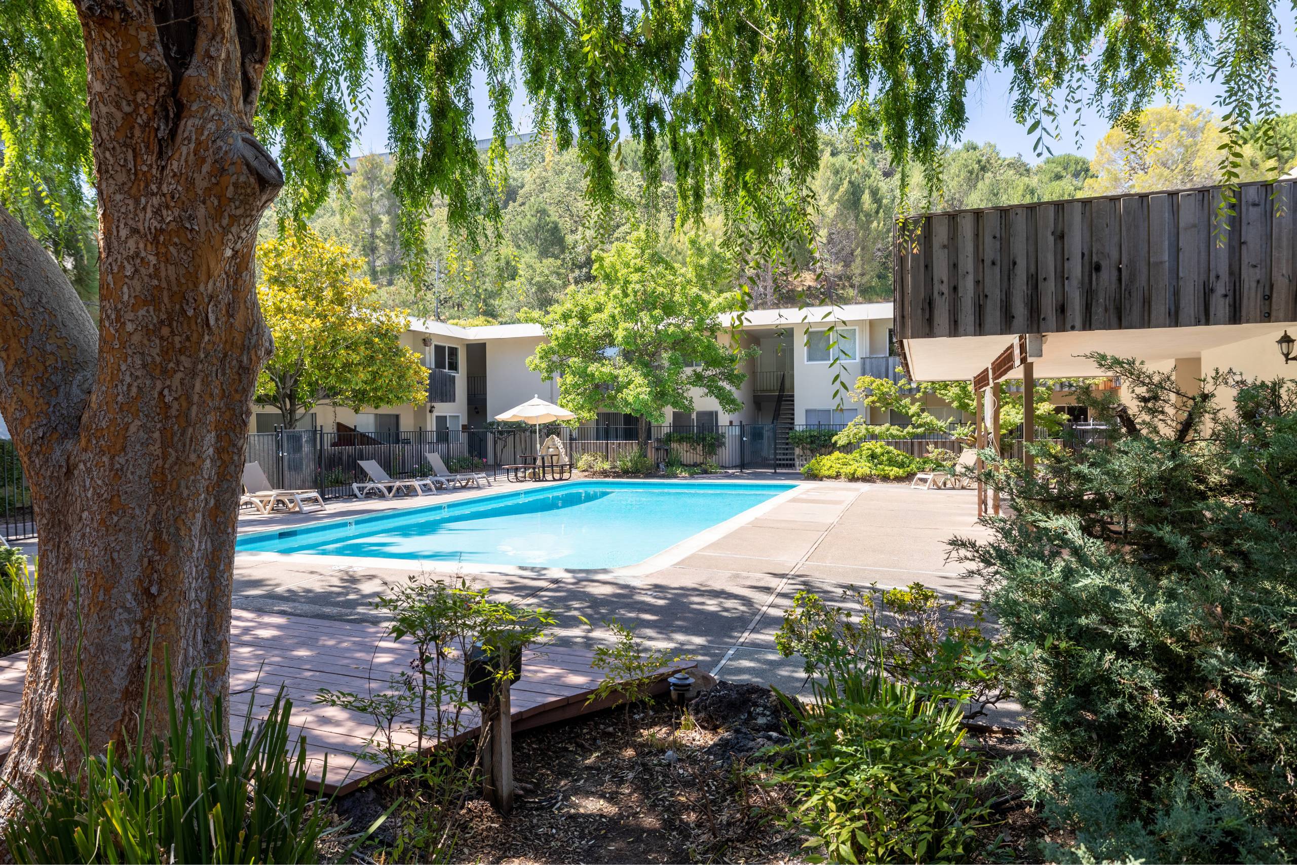 A swimming pool surrounded by trees and plants.