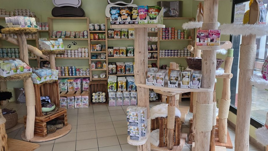 Mos Naturstammdesign/Kratzgalerie, Braugasse 3 in Sontra