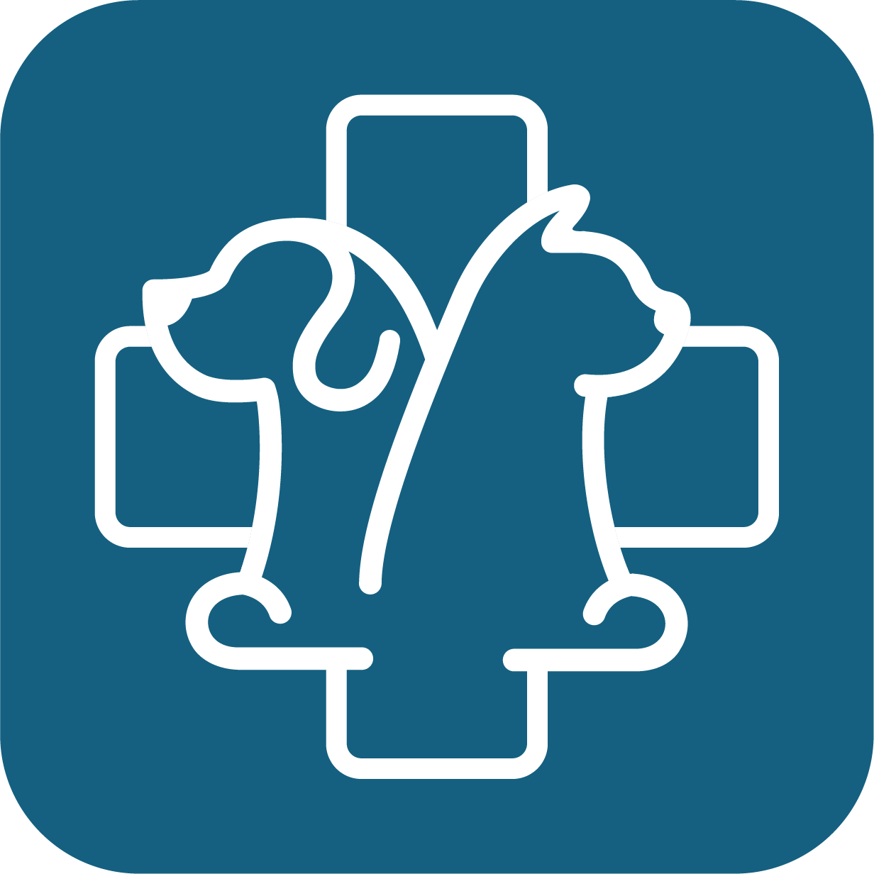 Veterinary Care and Specialty Group
