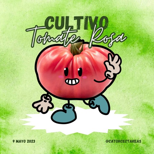 Images Catorcectáreas