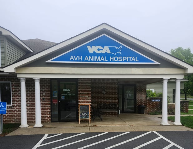 Images VCA AVH Animal Hospital