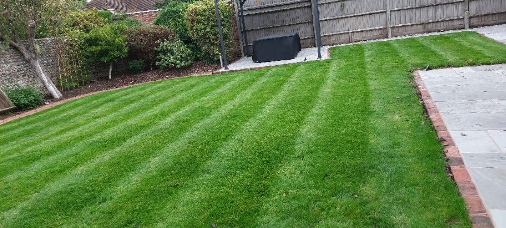 Images Phil Taylor Grass Cutting and Garden Services