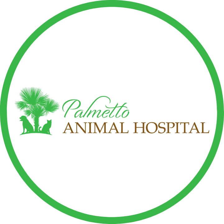 Palmetto Animal Hospital - Florence, SC 29501 - (843)667-6720 | ShowMeLocal.com