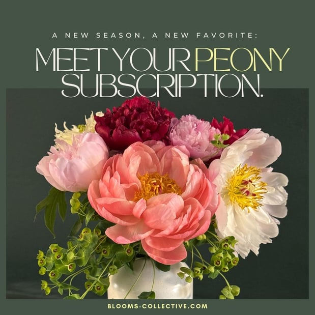 Images Blooms Collective