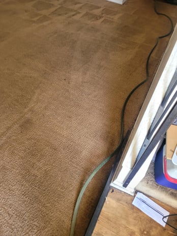 Images BCS Carpet Cleaning