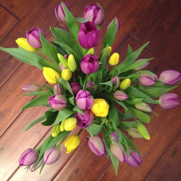 Images Seulberger's Florist & Gifts