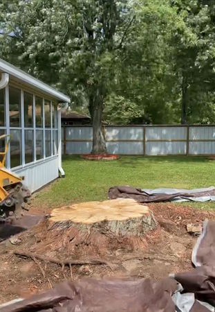 Images Indiana Stump Remover