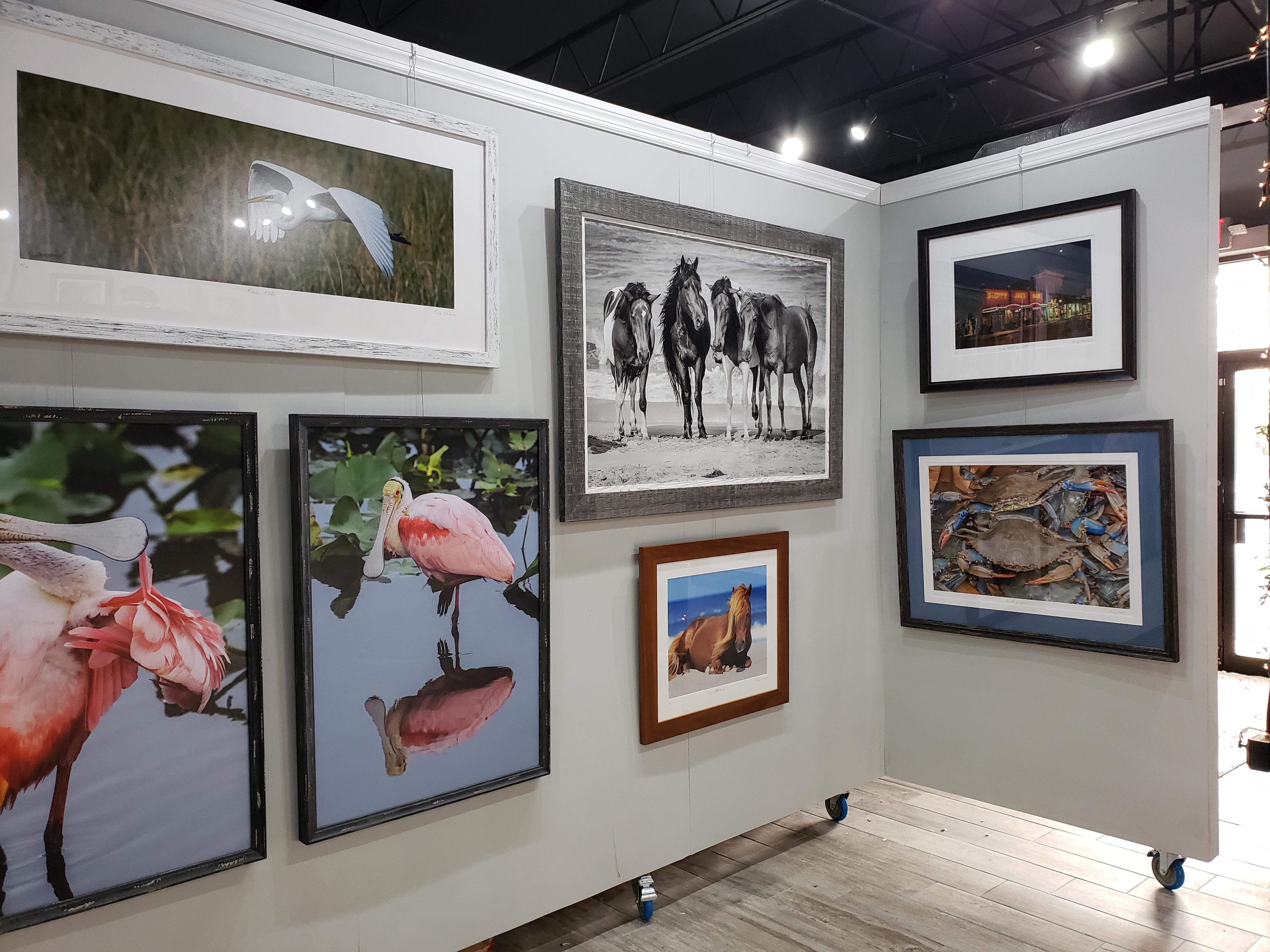 Gallery thumbnail