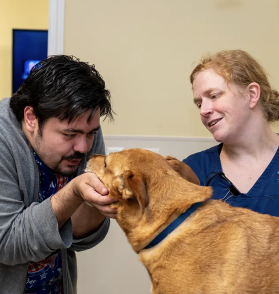 Images Oak Forest Veterinary Hospital