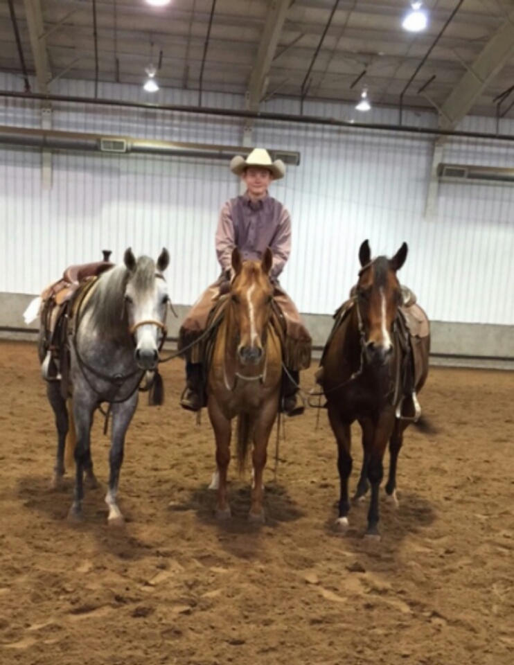 JK Versatility Performance Horses