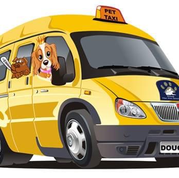 Images Pet Taxi & Rescue Ltd