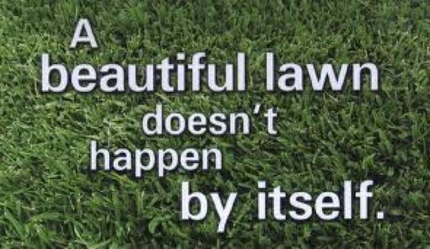 Images 4everGreen Turf Management