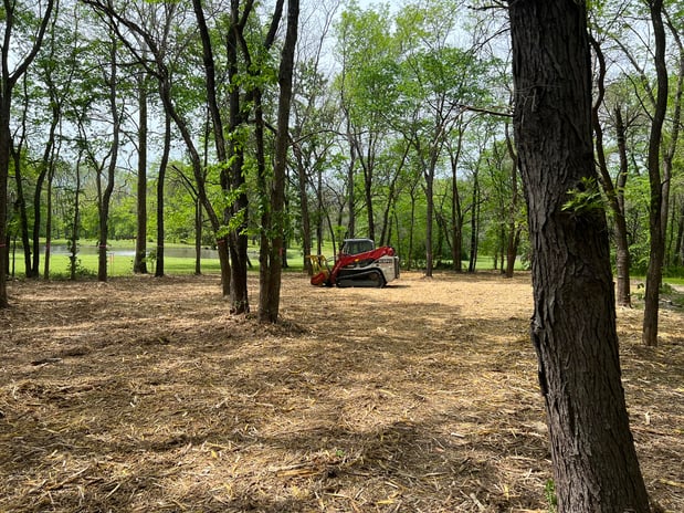 Images RED'S Forestry Mulching