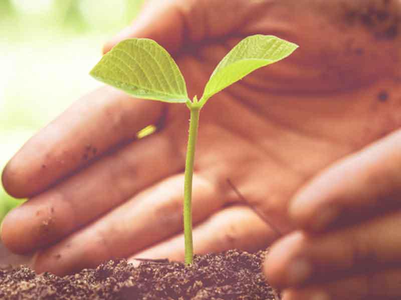 Images Agrifutura srl