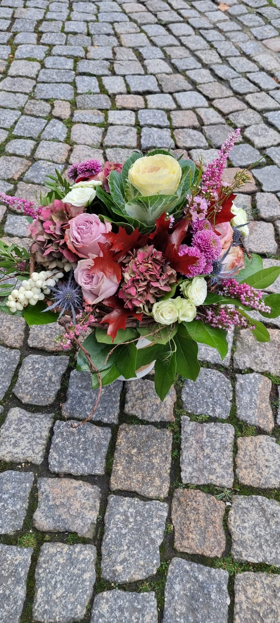 Bilder Blumengeschäft Blattmaus