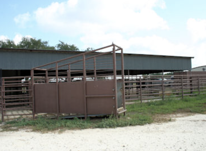 Images Chaparral Veterinary Center, P.C.