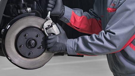 Images Toyota Tammer-Auto