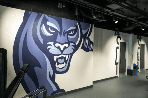 Images Xcelerate Gym