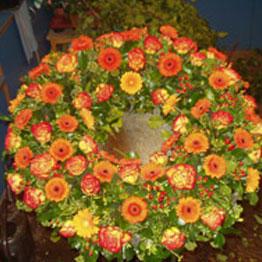 Stockmaier Alfons Blumen, Ungererstrasse 122 in München