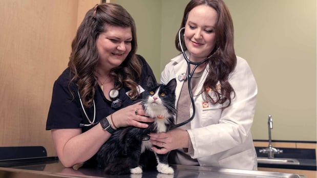 Images Banfield Pet Hospital