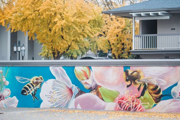 Images Best Western Town House Lodge