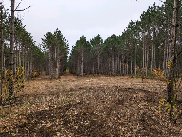 Images TK Land Management LLC