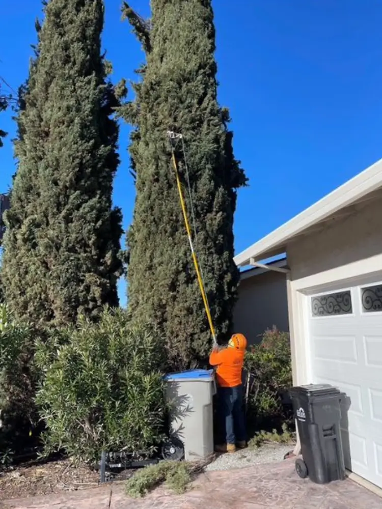 Majestic Tree Service
