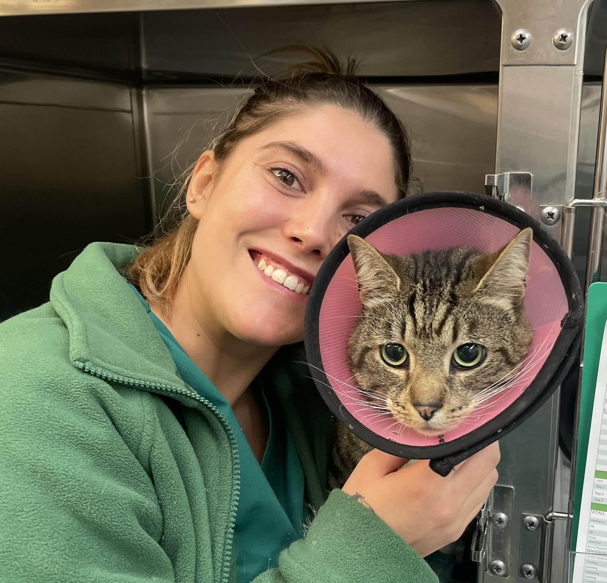 Images Streatham Hill Veterinary Surgery