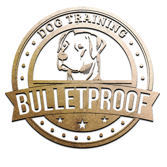 Bulletproof Dog Training Cincinnati Logo