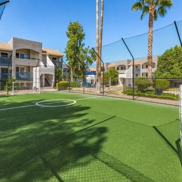Agave at Twenty Two | Soccer Field 