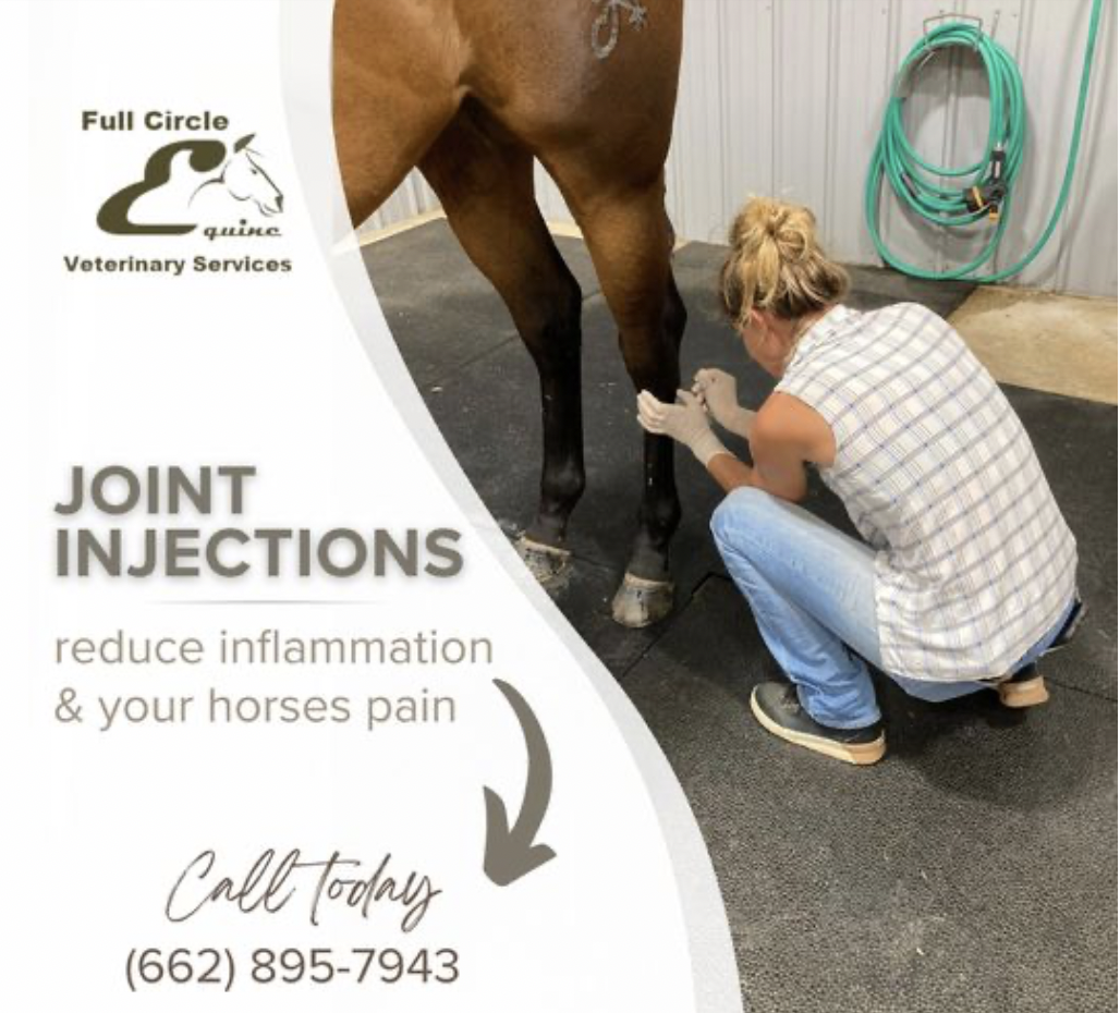If your horse suffers from arthritis, then there are a variety of joint injection options available for horses that can help ease their pain and stiffness. Consult Full Circle Equine located at 3718 MS - 309 North, Byhalia, Mississippi to determine if this is a good option for your horse!